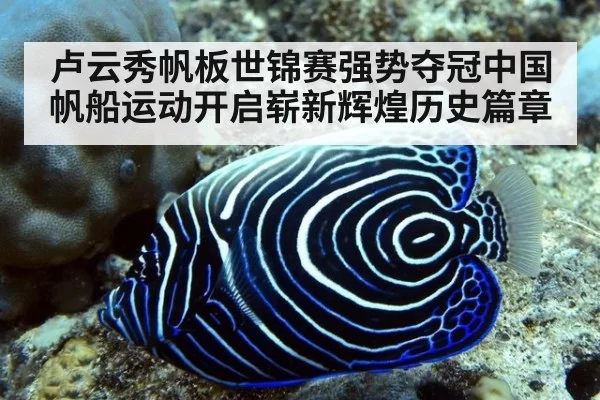 卢云秀帆板世锦赛强势夺冠中国帆船运动开启崭新辉煌历史篇章